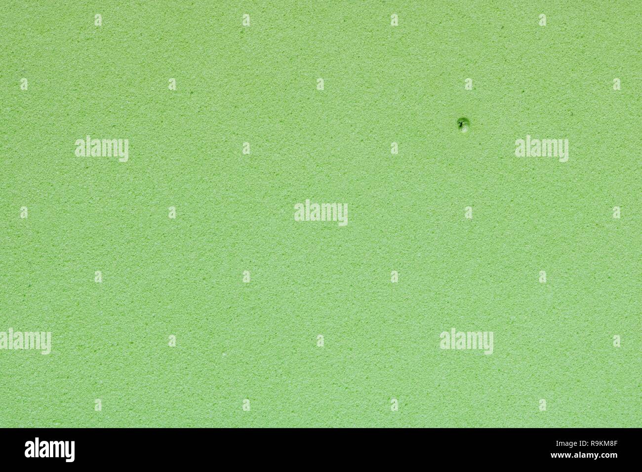 Texture di ruvida luce vecchia spugna verde, sfondo astratto Foto Stock