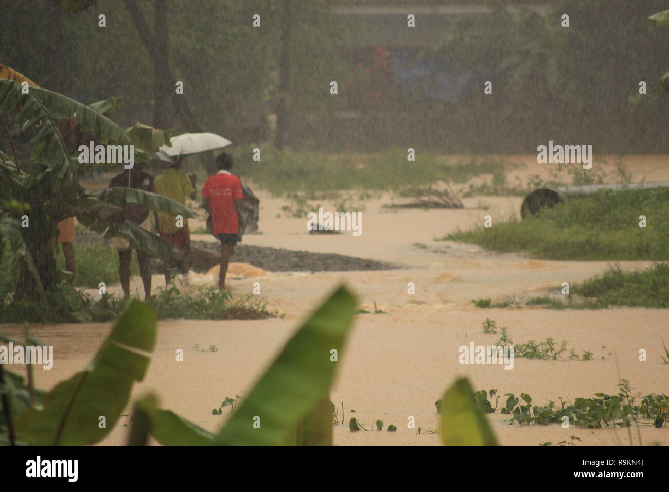 Una persona in possesso di ombrello passeggiate lungo un percorso sommerso durante le piogge torrenziali e le inondazioni in Kerala in India del Sud. Foto Stock