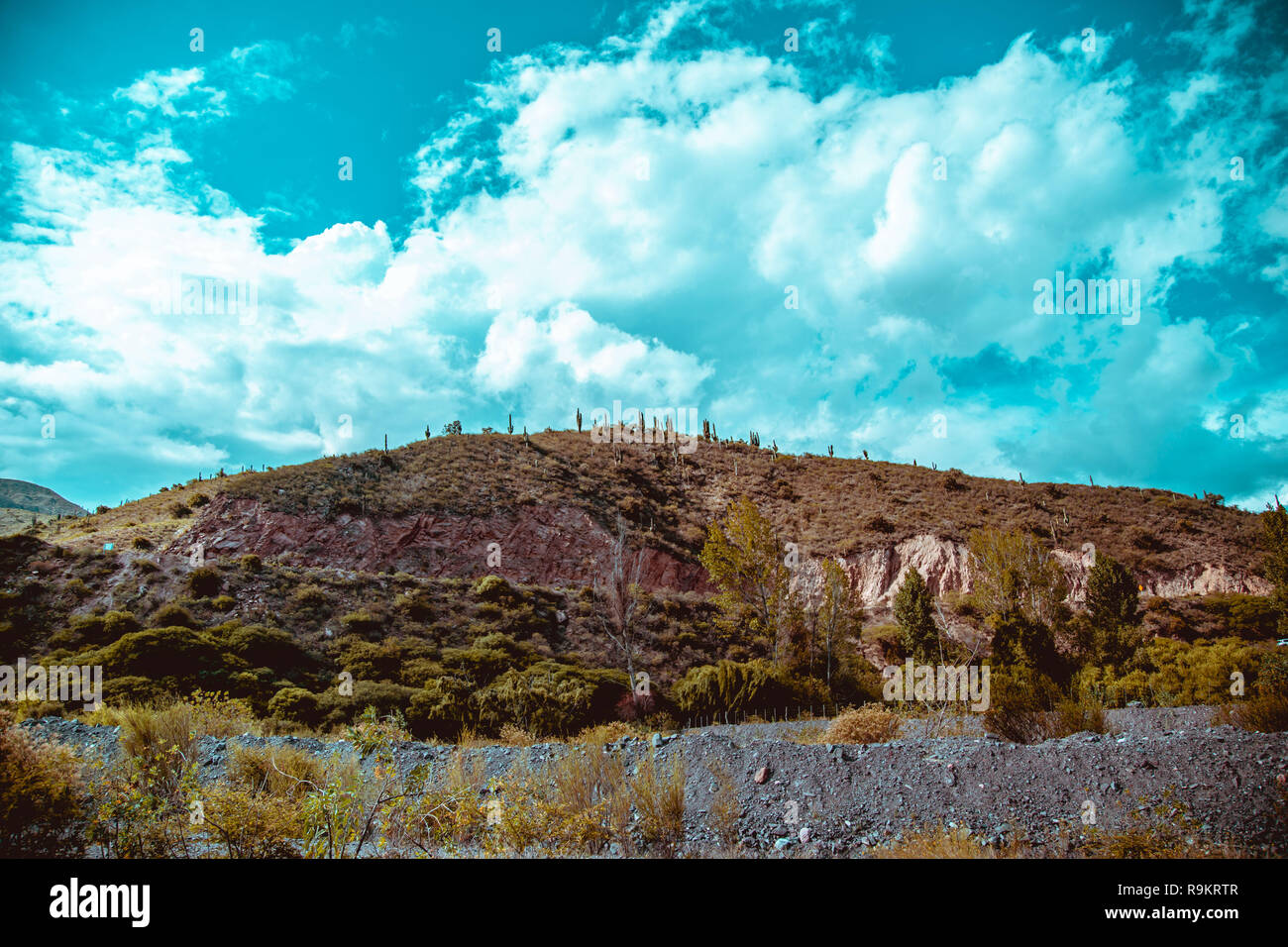 Paesaggio di montagna di Salta Argentina Foto Stock