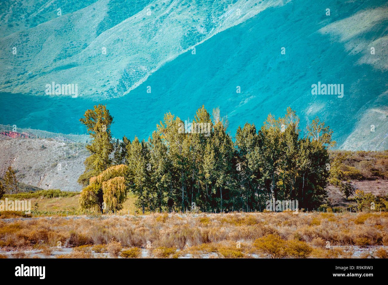 Paesaggio di montagna di Salta Argentina Foto Stock