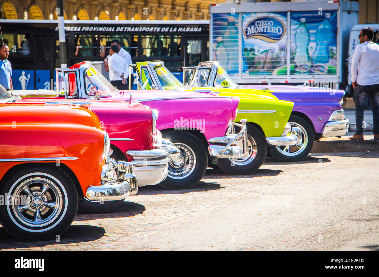 Fila di 5 multicolore di American Classic Cars in Havana Cuba Foto Stock