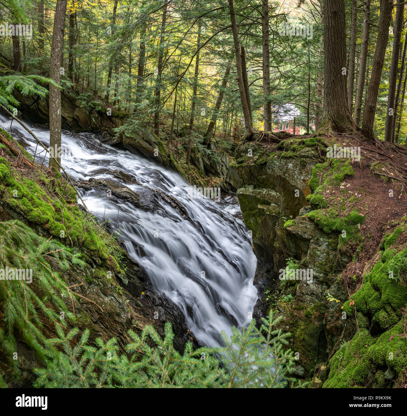 Cascata di assordanti Brook Falls, Green Mountain National Forest, Woodstock, Vermont Foto Stock