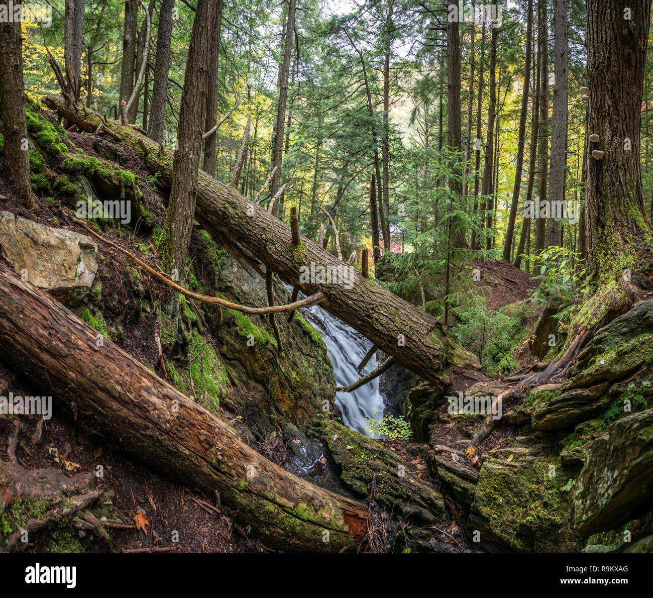 Cascata di assordanti Brook Falls, Green Mountain National Forest, Woodstock, Vermont Foto Stock