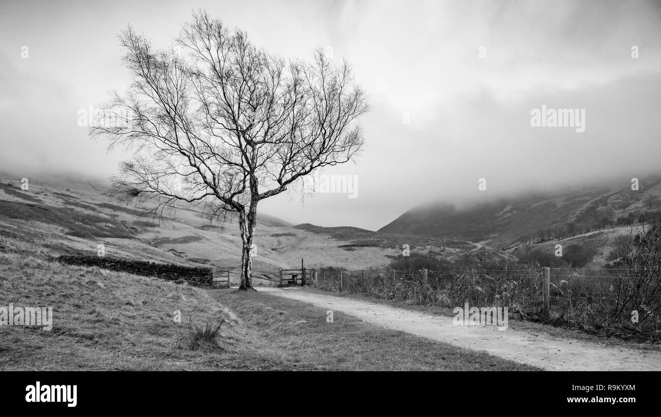 Serbatoio Dovestone Foto Stock