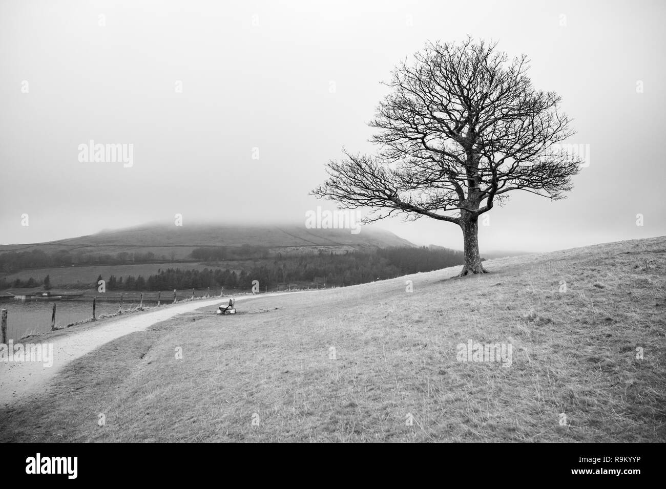 Serbatoio Dovestone Foto Stock