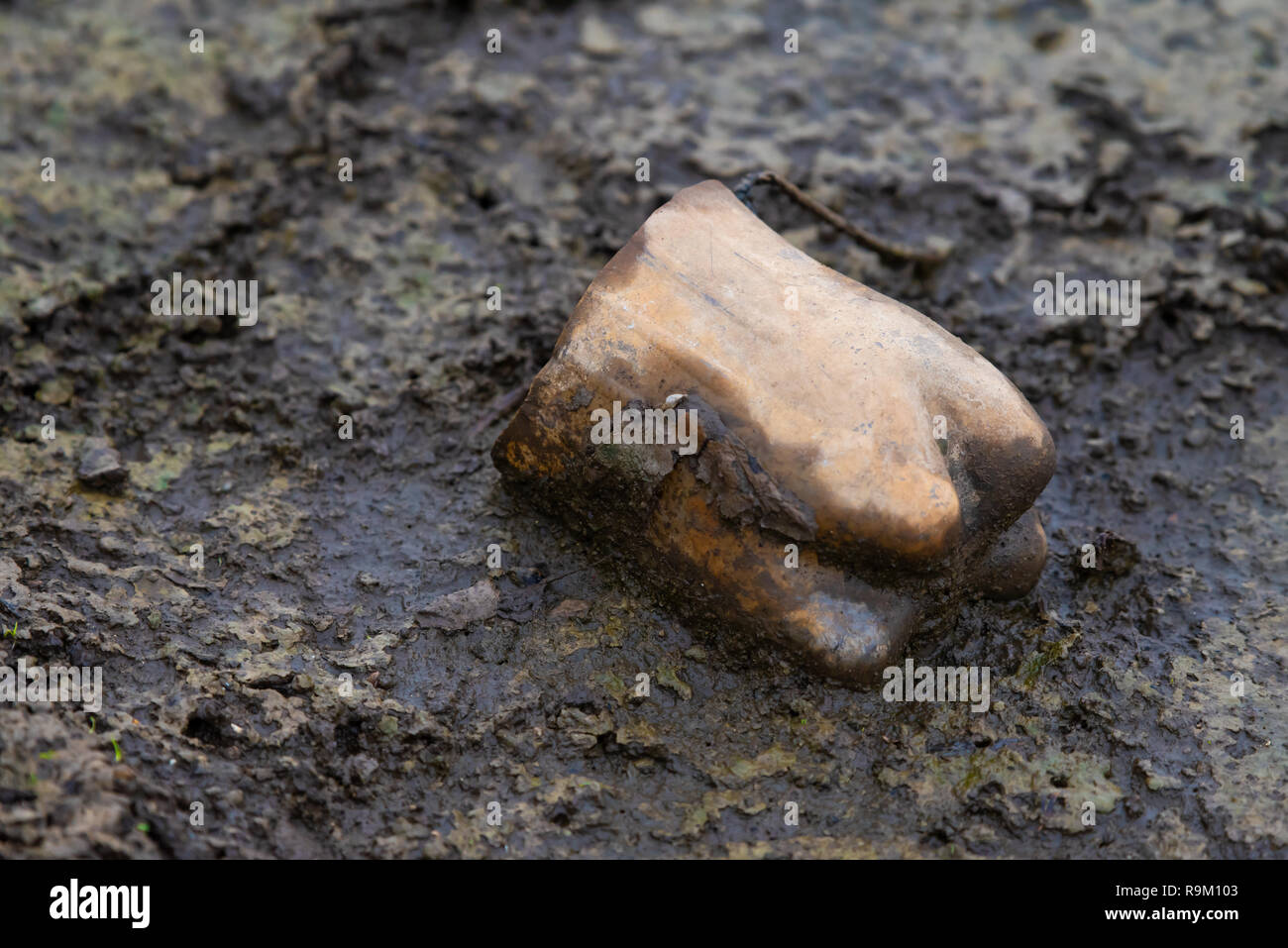 Flaconi scartati, lattine e prodotti in plastica non sono solo un obbrobrio, essi costituiscono una seria minaccia per la envoronment e del nostro pianeta che gli ecosistemi. Foto Stock