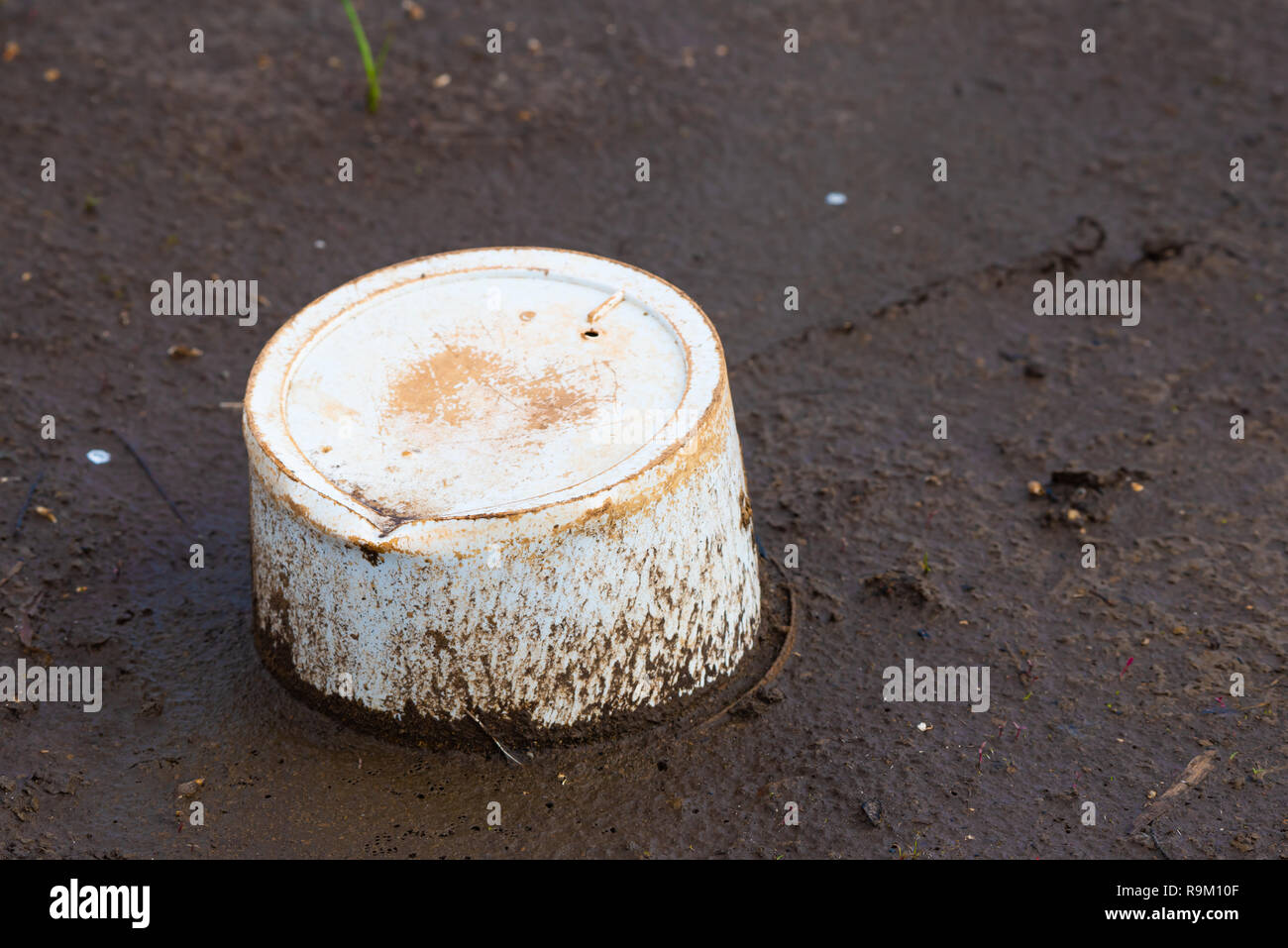 Flaconi scartati, lattine e prodotti in plastica non sono solo un obbrobrio, essi costituiscono una seria minaccia per la envoronment e del nostro pianeta che gli ecosistemi. Foto Stock Flaconi scartati, lattine e prodotti in plastica non sono solo un obbrobrio, essi costituiscono una seria minaccia per la envoronment e del nostro pianeta che gli ecosistemi. Foto Stock