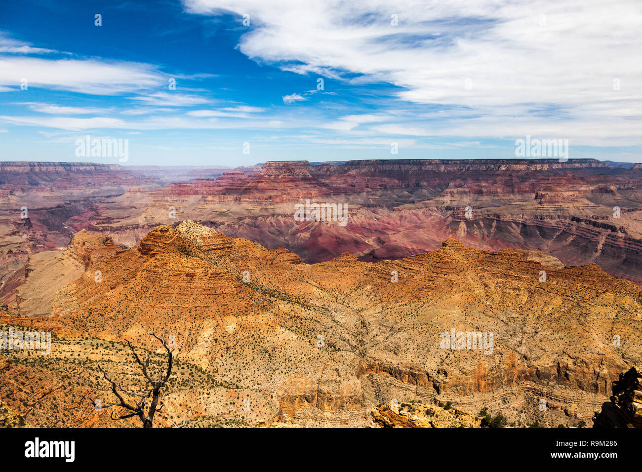 South Rim Grand Canyon scavato dal fiume Colorado in Arizona, ha fasce stratificate di red rock rivelando di milioni di anni di storia geologica. Viewp Foto Stock