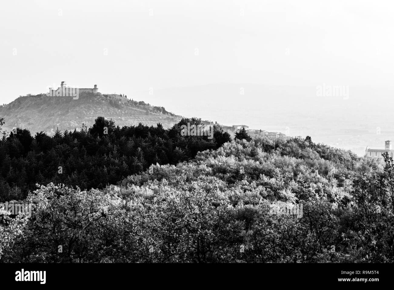 Bellissima vista della città di Assisi (Umbria) in autunno da un luogo insolito, dietro una collina con alberi Foto Stock