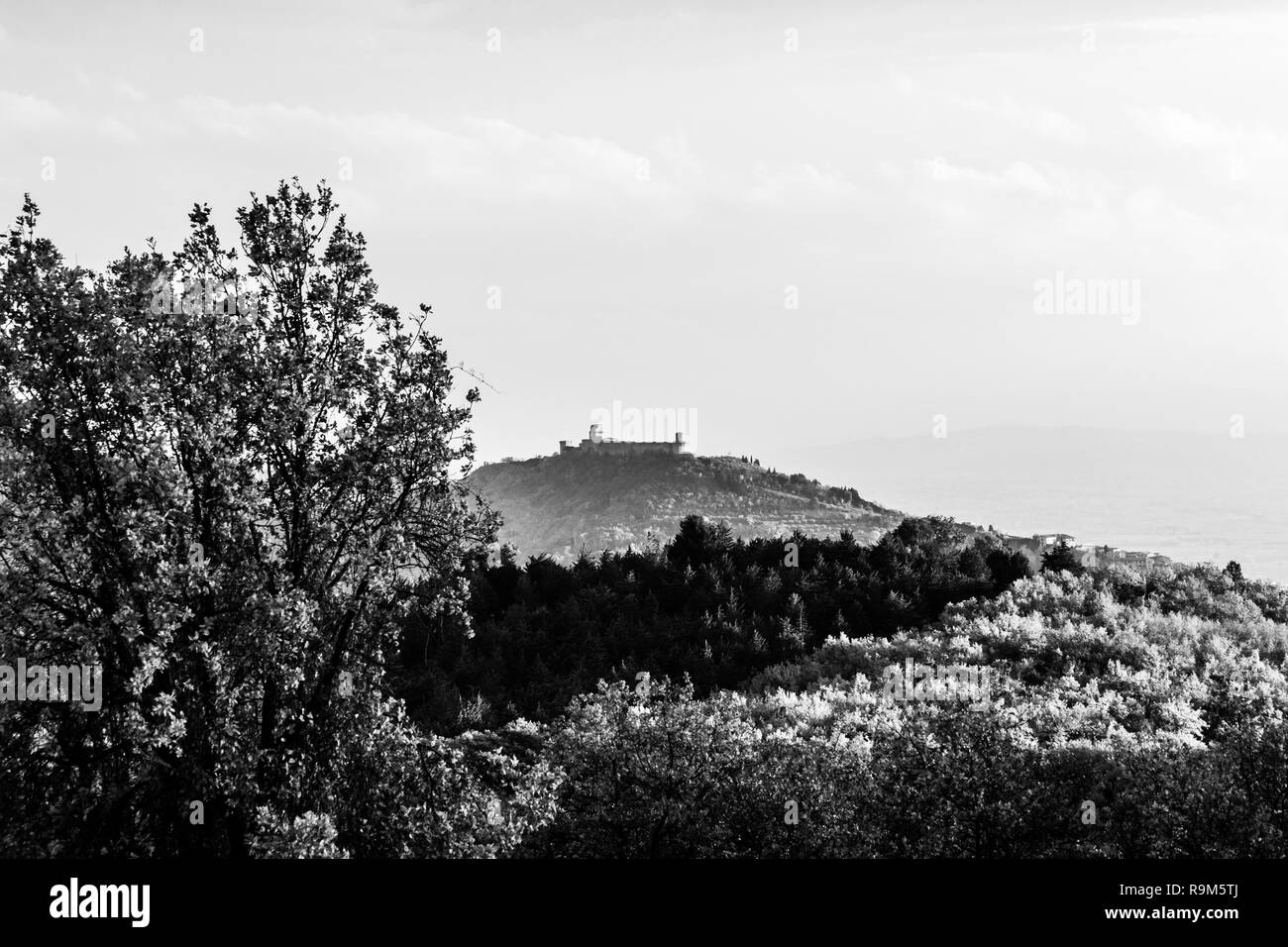 Bellissima vista della città di Assisi (Umbria) in autunno da un luogo insolito, dietro una collina con alberi Foto Stock