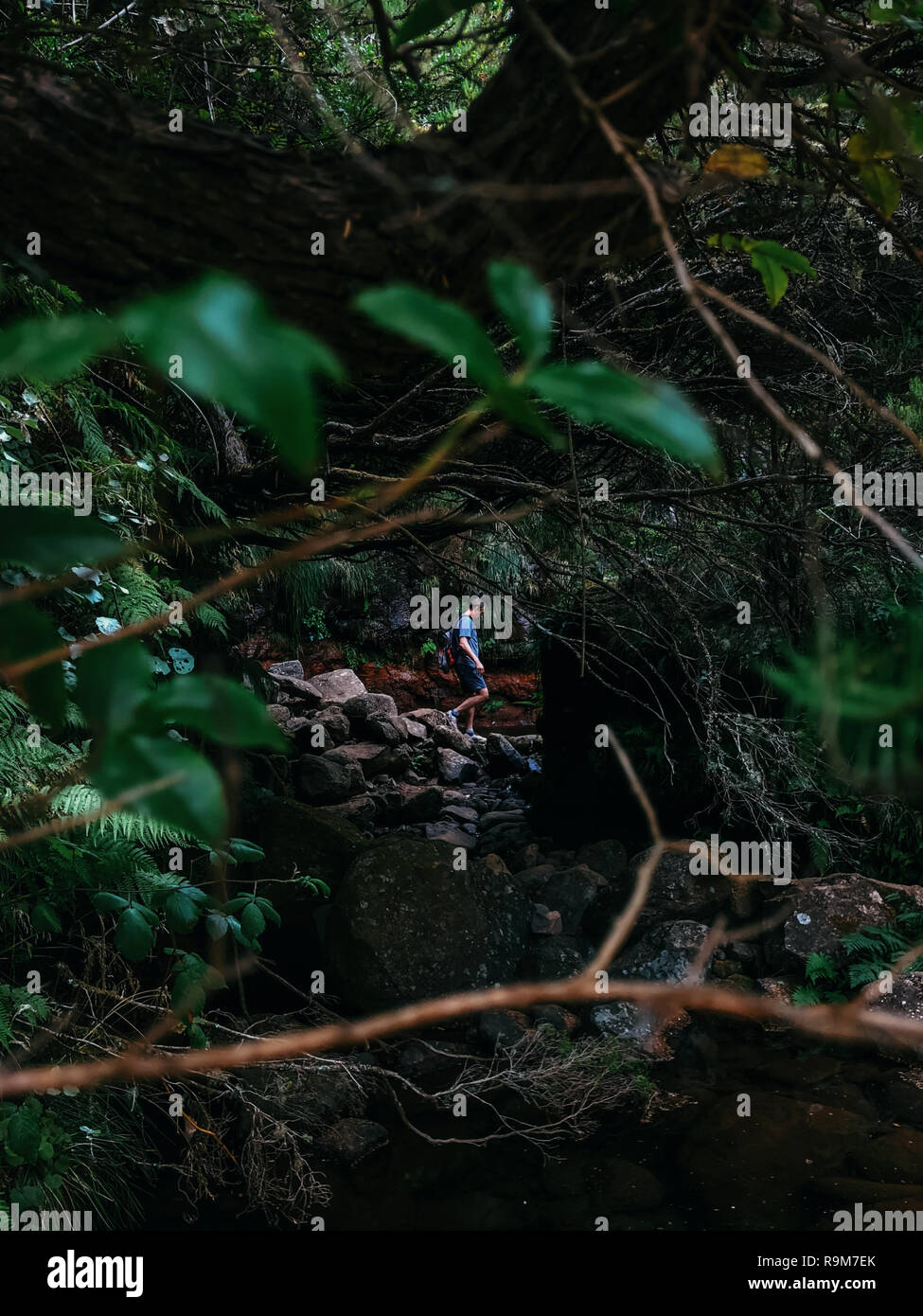 L uomo si esplora con zaino fitta giungla tropicale e la foresta pluviale Foto Stock
