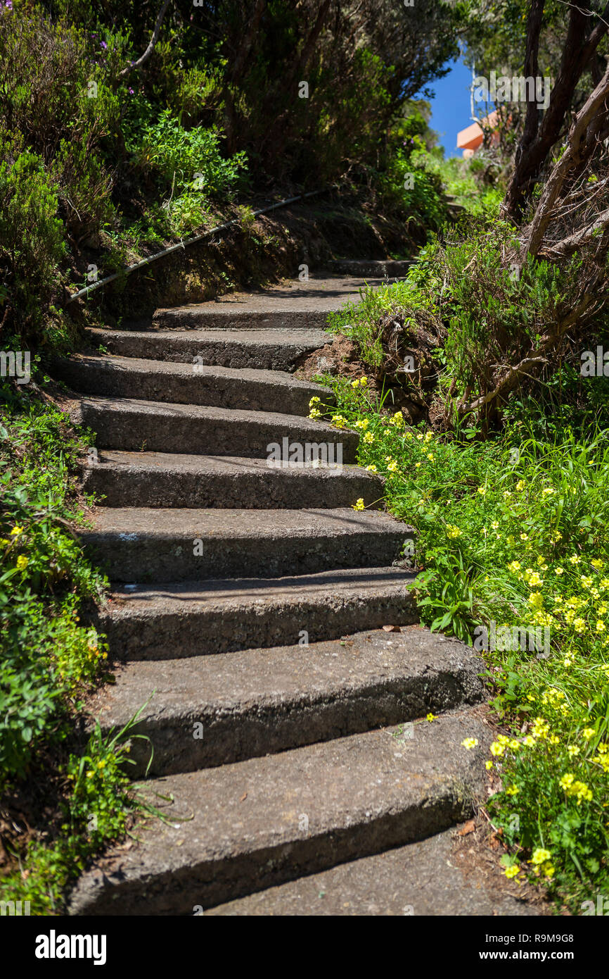 Scale in giardino, Tenerife, Isole Canarie, Spagna. Foto Stock