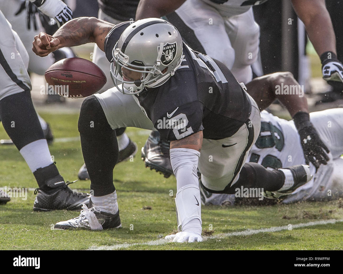 Oakland, la California, Stati Uniti d'America. 3 Novembre, 2013. I raider di Oakland quarterback Terrelle Pryor (2) fumbles sfera poi recupera velocemente la sfera di Domenica, Novembre 03, 2013, a Oakland, in California. Le aquile sconfitto i raider 49-20. Credito: Al di Golub/ZUMA filo/Alamy Live News Foto Stock