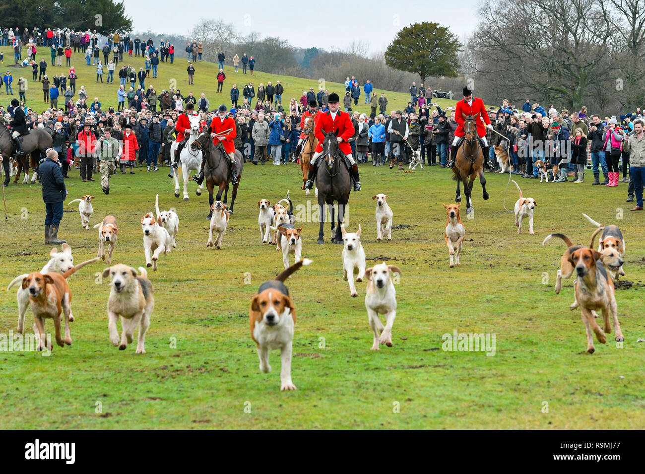 Lyndhurst, Hampshire, Regno Unito. Il 26 dicembre 2018. La nuova foresta Hounds hunt si incontra per la loro annuale Boxing Day caccia al Boltons banco a Lyndhurst in Hampshire. I cacciatori e segugi. Credito Foto: Graham Hunt/Alamy Live News Foto Stock