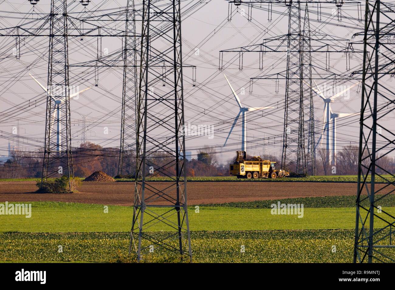 Tralicci di elettricità e delle turbine a vento a Neurath power plant di RWE. Neurath, 24.12.2018 | Utilizzo di tutto il mondo Foto Stock