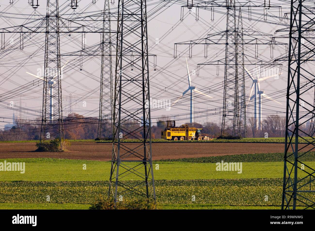 Tralicci di elettricità e delle turbine a vento a Neurath power plant di RWE. Neurath, 24.12.2018 | Utilizzo di tutto il mondo Foto Stock