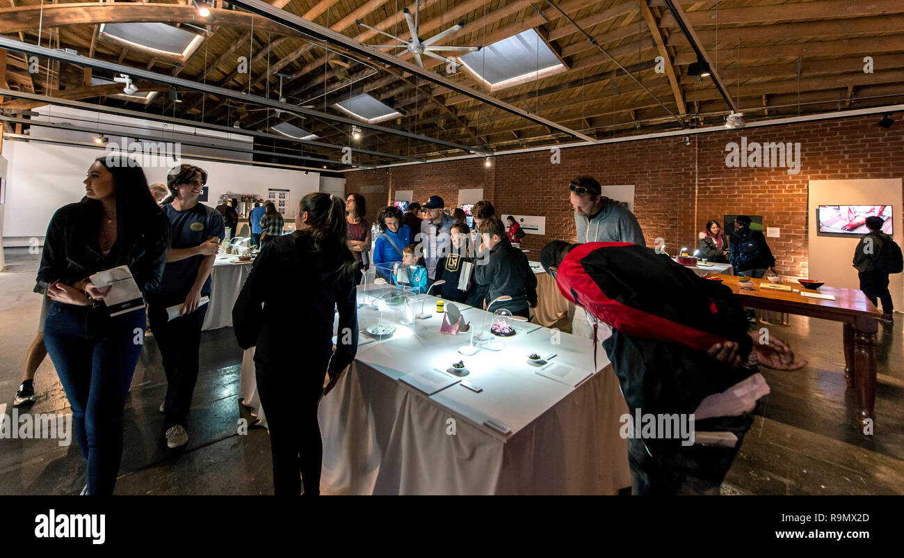 Los Angeles, California, USA. Il 26 dicembre, 2018. La gente visita il cibo disgustoso Museum presso un D Architettura e Design Museum. La mostra presenta 80 del mondo più disgustoso alimenti sul display e per il campionamento alla degustazione bar. Credito: Brian Cahn/ZUMA filo/Alamy Live News Foto Stock