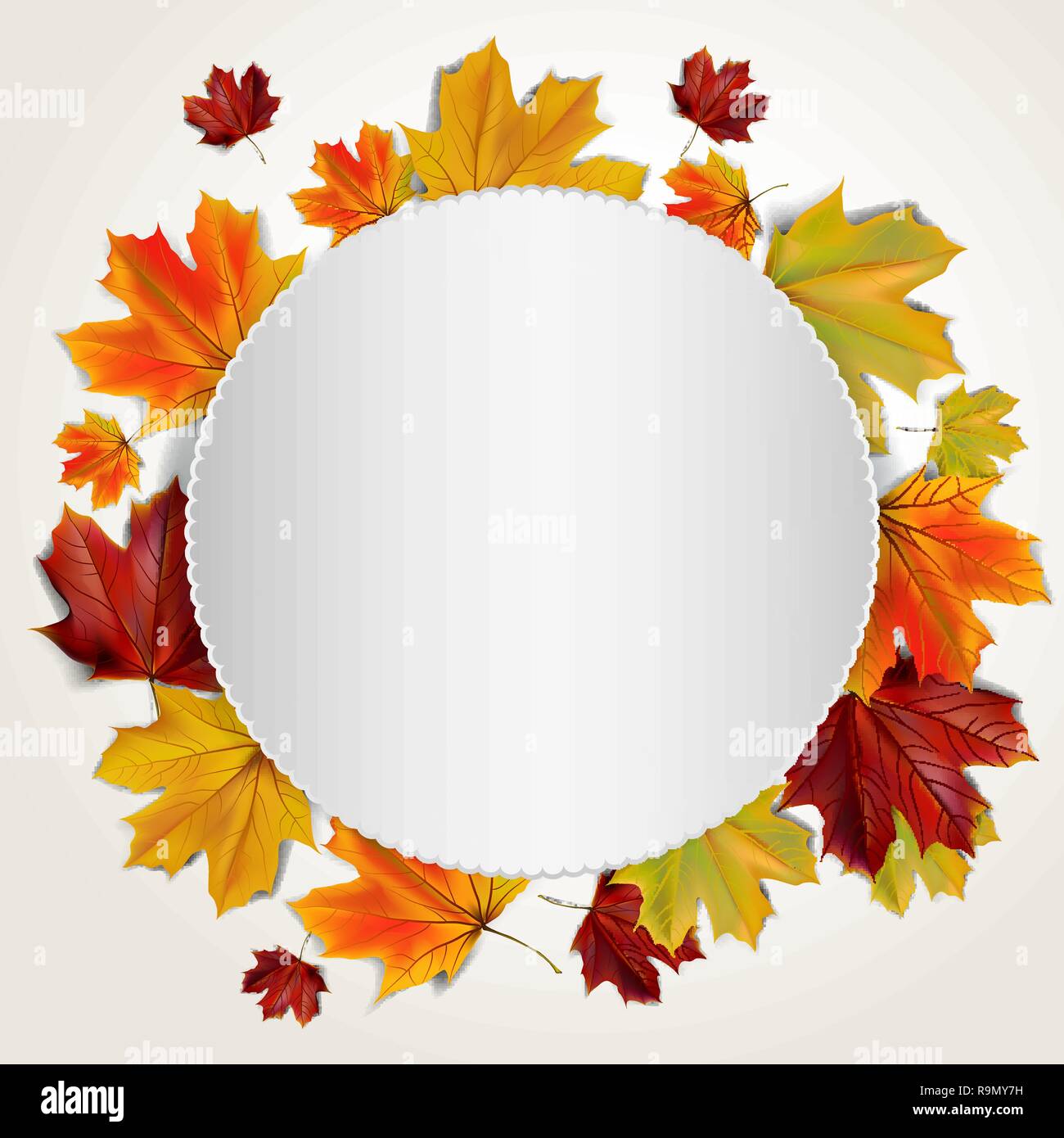 Autunno colorato di foglie di acero in una forma rotonda, illustrazione vettoriale Illustrazione Vettoriale