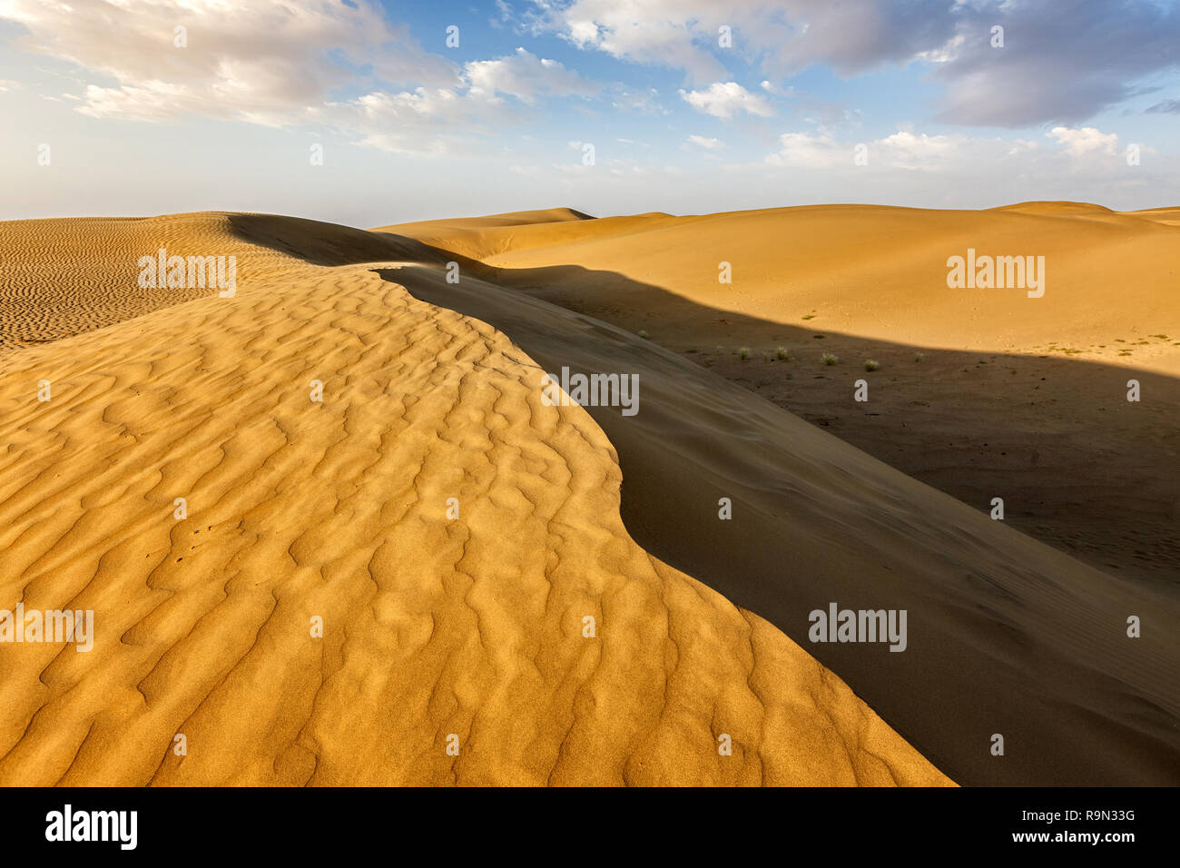 Le dune di sabbia nel deserto Foto Stock