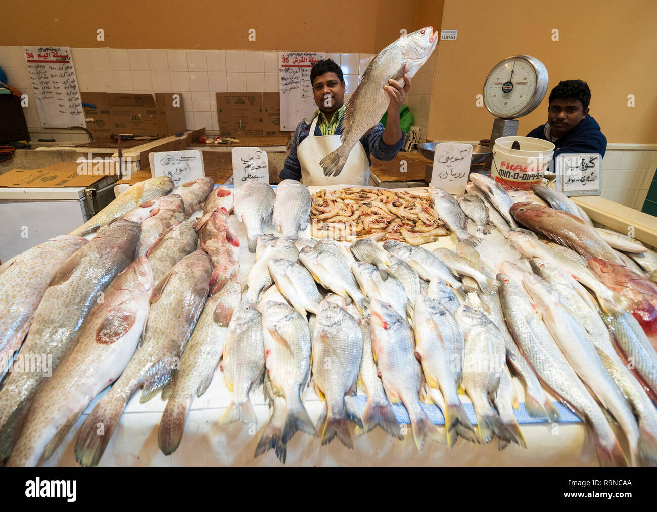 Uomo con pesce fresco al souk di pesce a Nag'AAT Al Kout in Fahaheel , Kuwait, Medio Oriente. Foto Stock