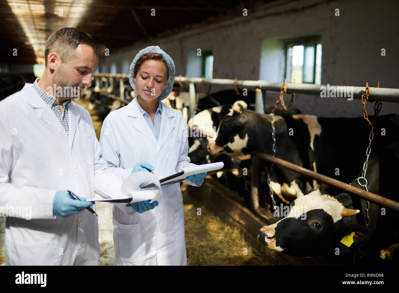 Gli specialisti della fattoria Foto Stock