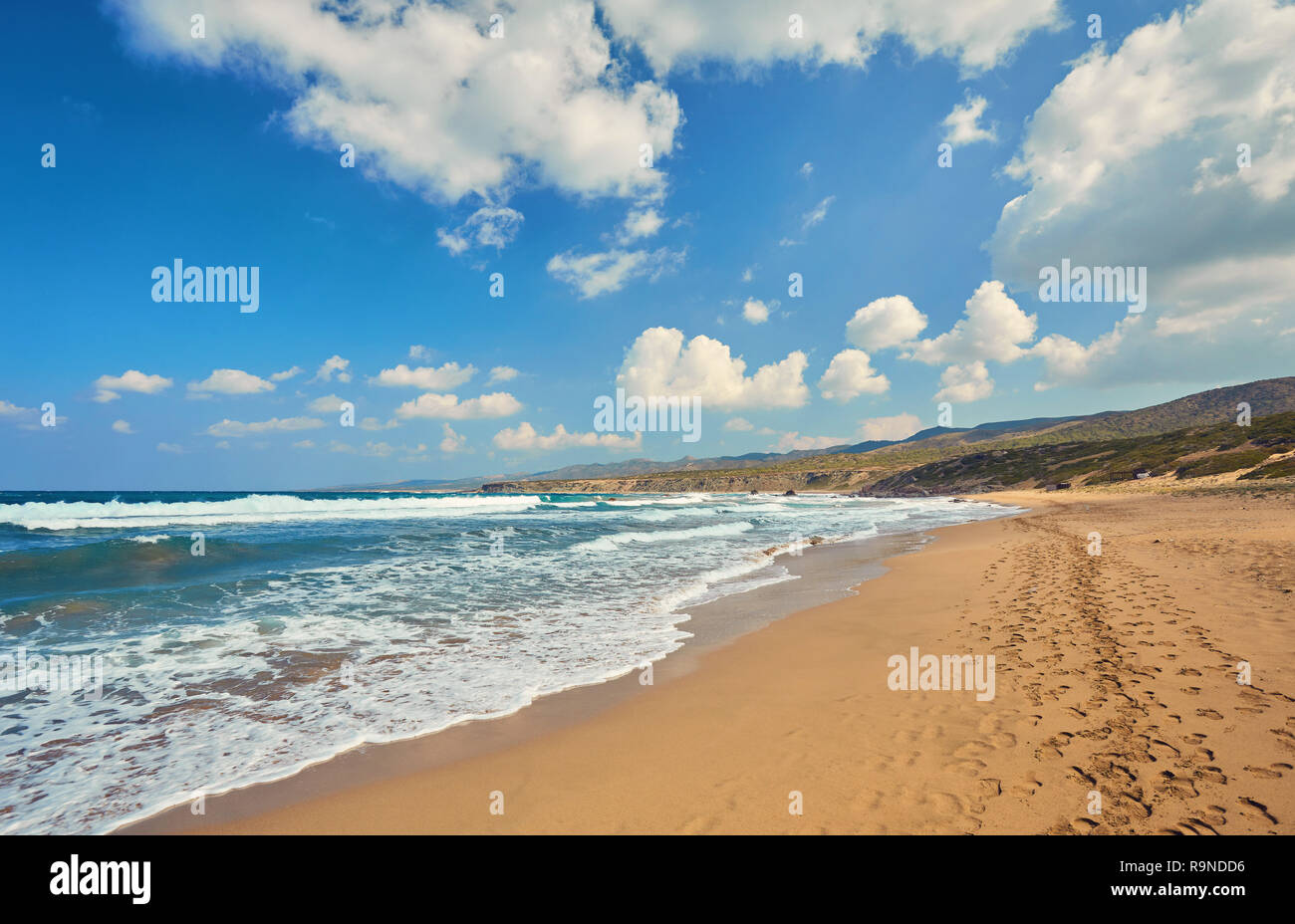 Bellissima spiaggia selvaggia con turchesi acque cristalline e onde. Lara Beach, Cipro. Foto Stock
