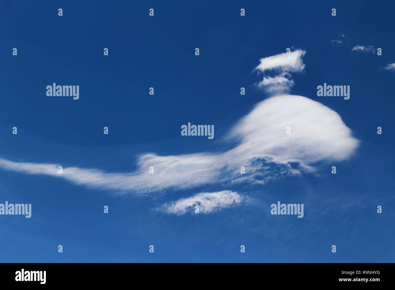 Alta altitudine nuvole, morbido e soffice, montagne delle Ande, Bolivia Foto Stock