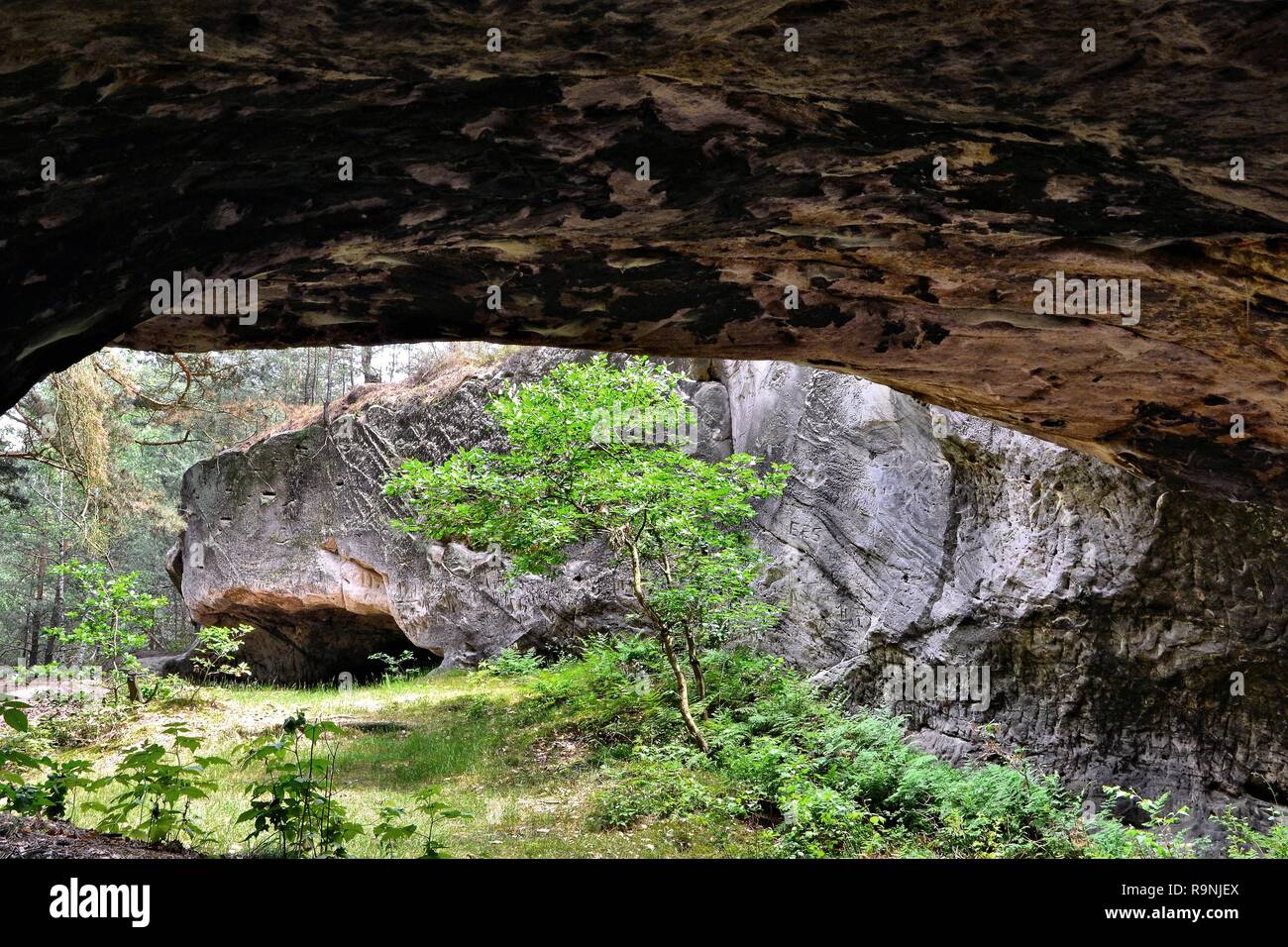 Grotta di seguito Regenstein fortezza nel Parco Nazionale di Harz Foto Stock