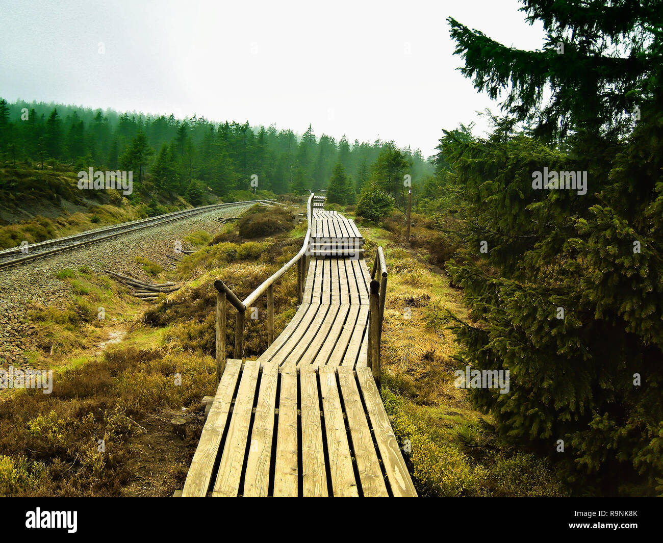 Sentiero escursionistico al vertice di Brocken nel Parco Nazionale di Harz Foto Stock