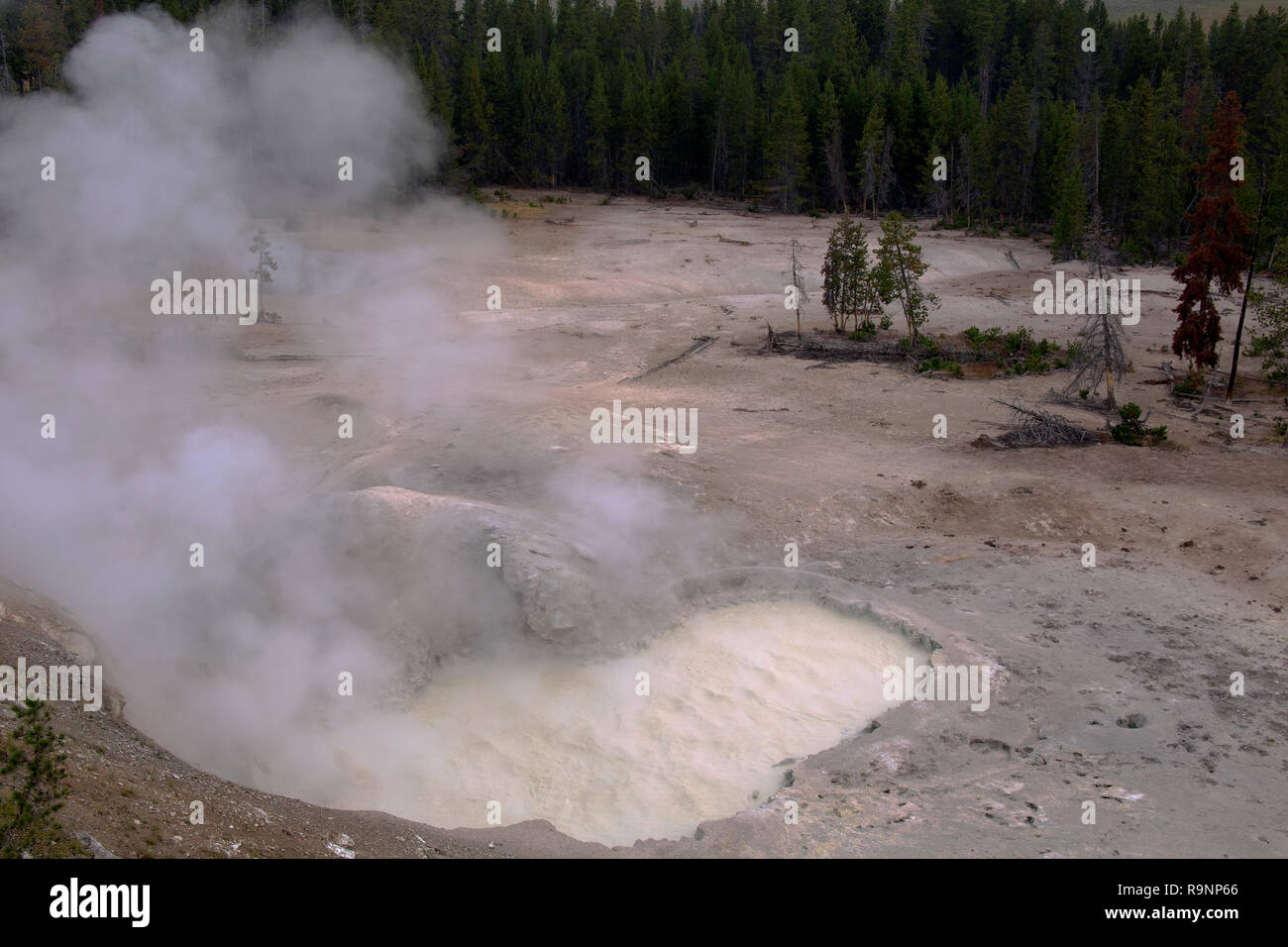 Calderone di zolfo e la formazione di bolle di vapore Yellostone National Park, Wyoming Foto Stock