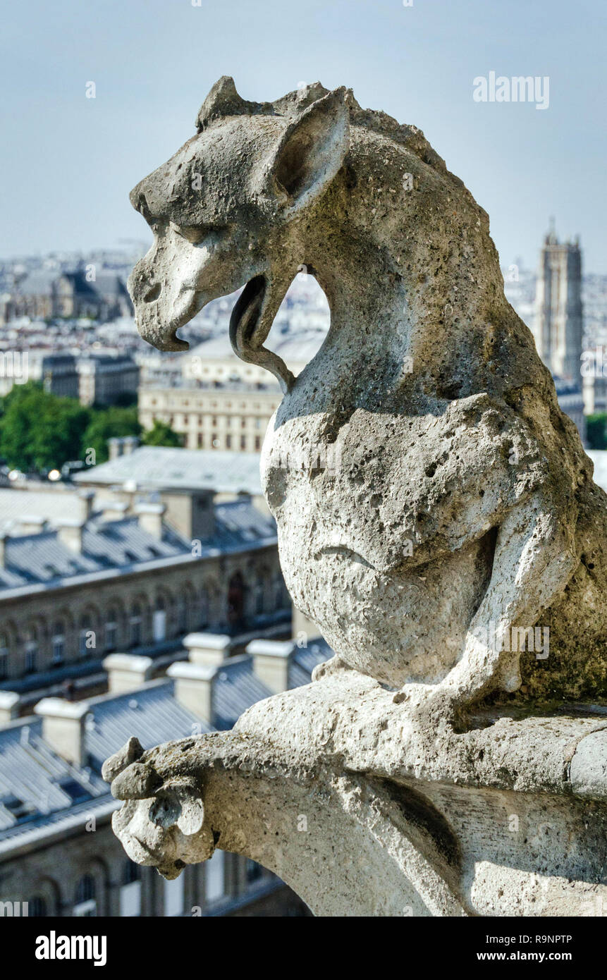 Notre Dame Gargoyle Dragoon Foto Stock