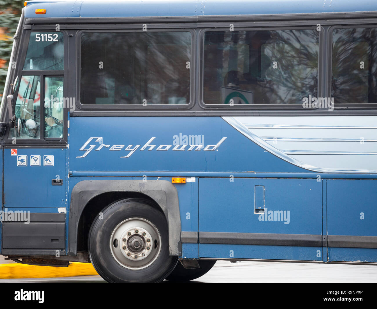 MONTREAL, Canada - 6 Novembre 2018: Greyhound logo su un bus motorcoach passando dalla velocità con effetti di sfocatura. Il Greyhound Il Canada è uno dei principali inter Foto Stock