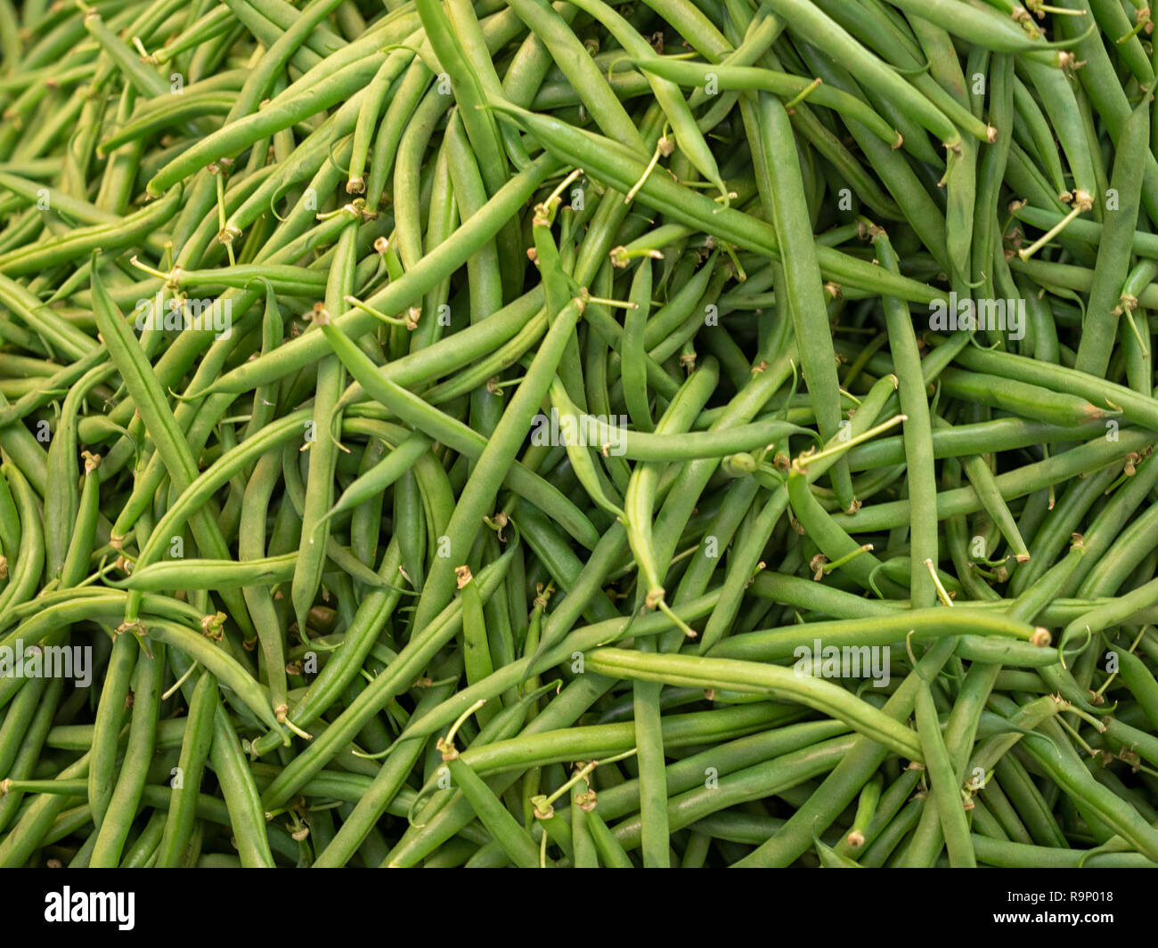 Fagioli francesi freschi in un mercato alimentare Foto Stock