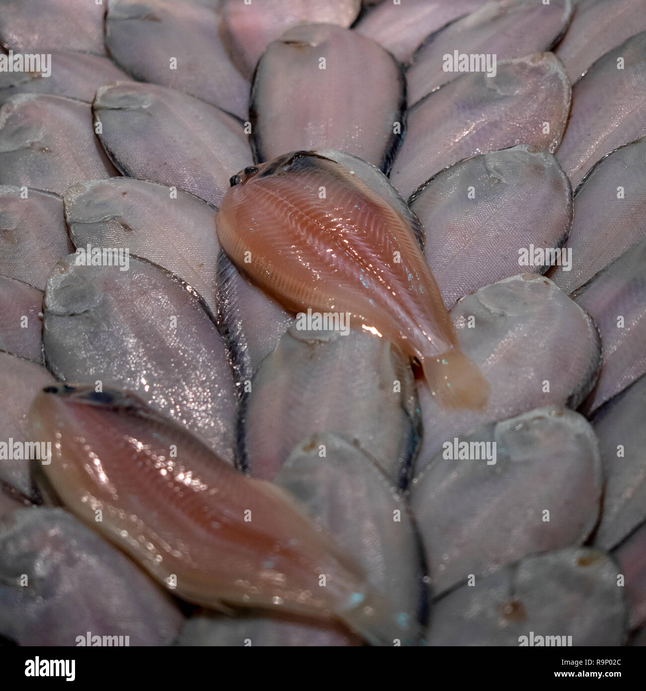 Sogliola fresca per la vendita nel mercato del pesce - Le alette sono state rifilate e la parte inferiore del pesce è mostrato con un pesce in filetti Foto Stock