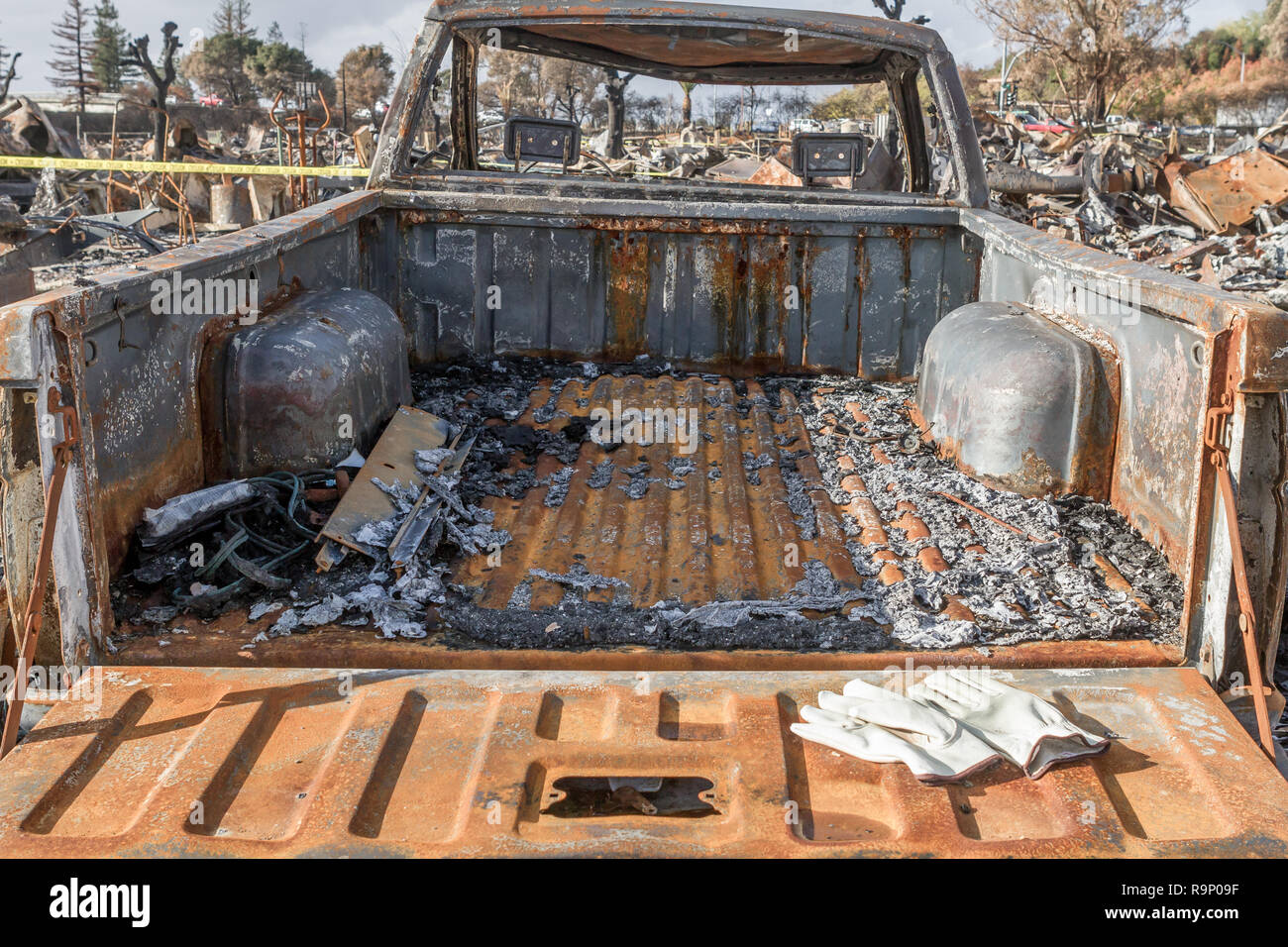 Raccoglitore carbonizzati - Queste immagini sono state acquisite in quartieri vicino a Santa Rosa, California, dove incendi nei primi di ottobre 2017. Foto Stock