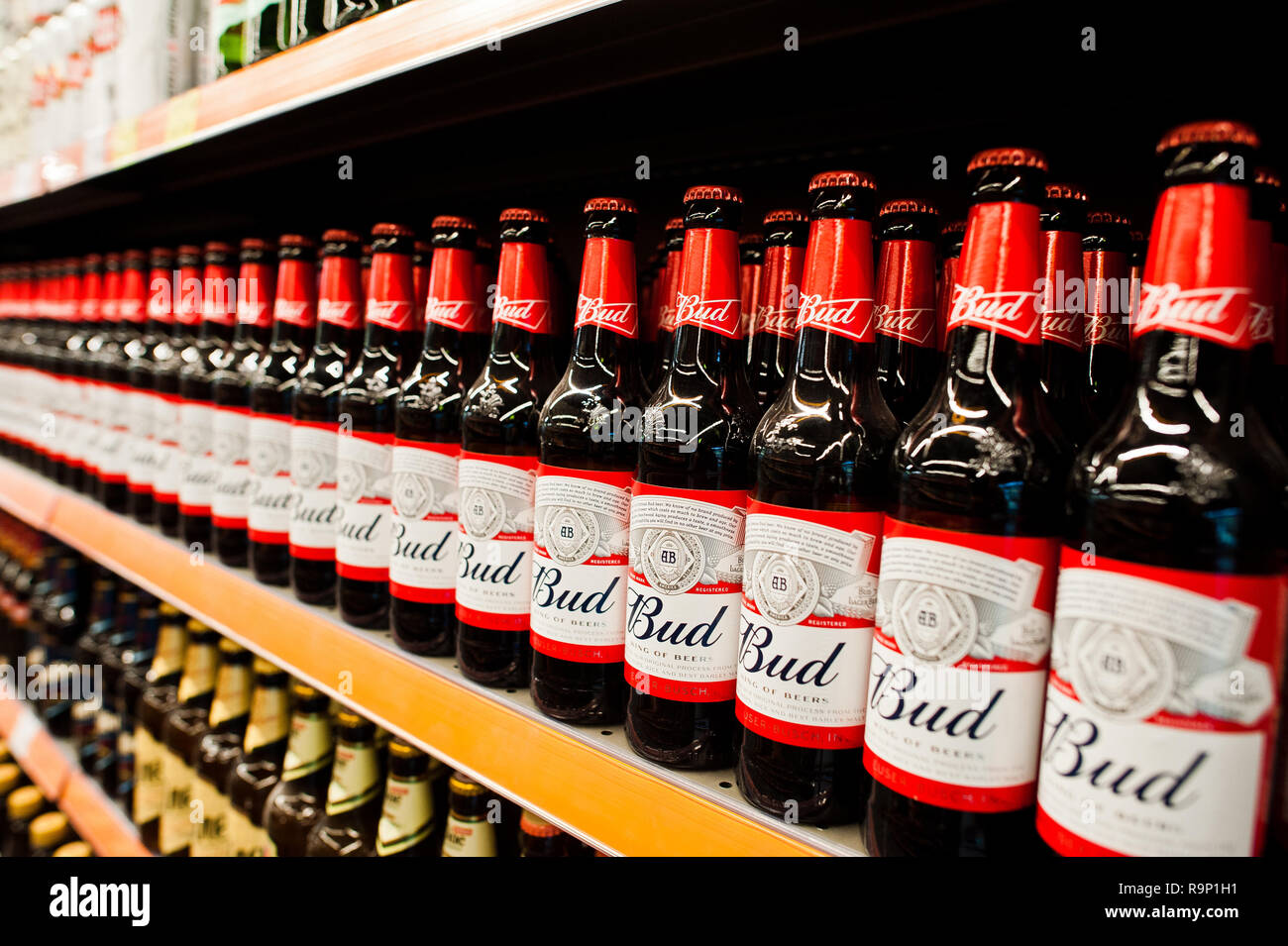 Kiev, Ucraina - 19 dicembre 2018: Bud bottiglie di birra su scaffali in un supermercato. Budweiser è un American pale lager prodotta da Anheuser-Busch Foto Stock