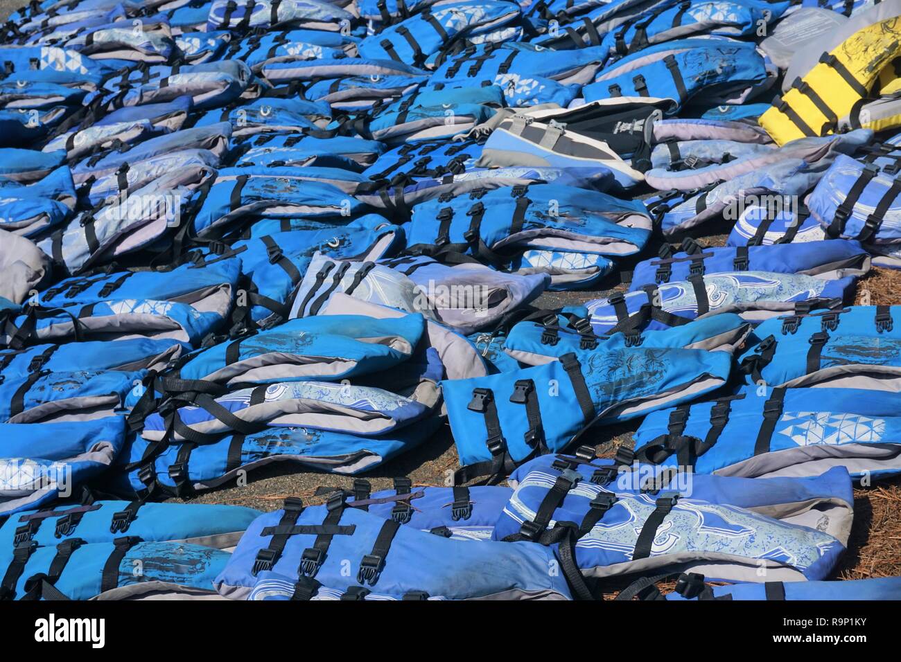 Un assortimento di blu giubbotti salvagente posa sulla terra Foto Stock