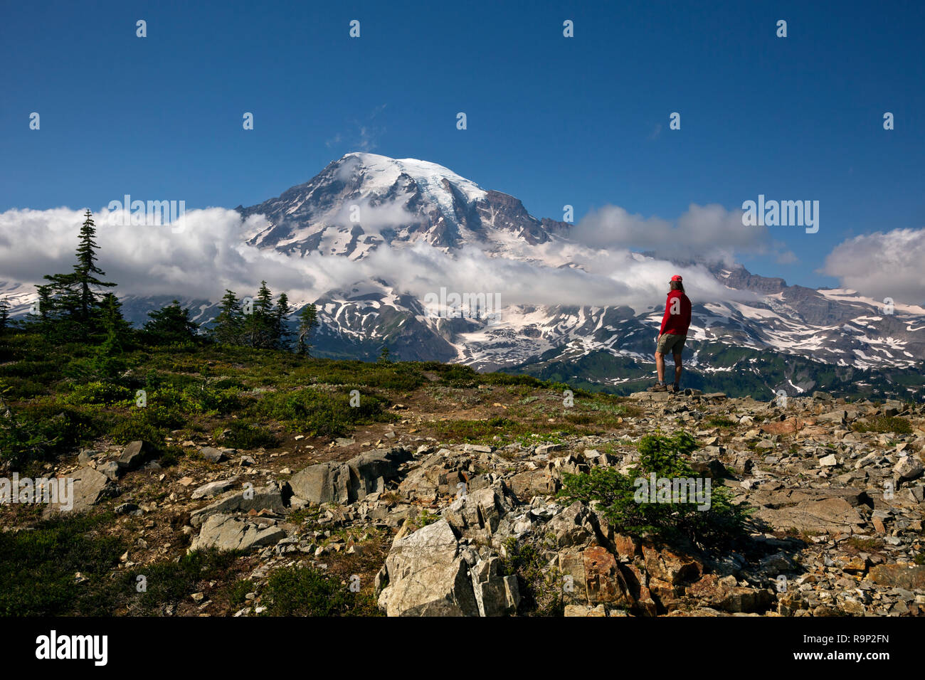 WA15602-00...WASHINGTON - escursionista su una spalla di Plummer visualizzazione picco Mount Rainier e il Parco Nazionale del Monte Rainier. Foto Stock