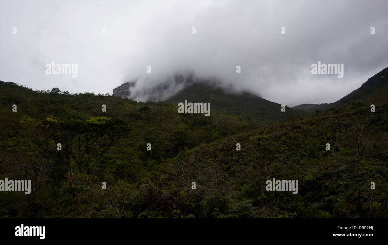 Una montagna coperta di nebbia Foto Stock