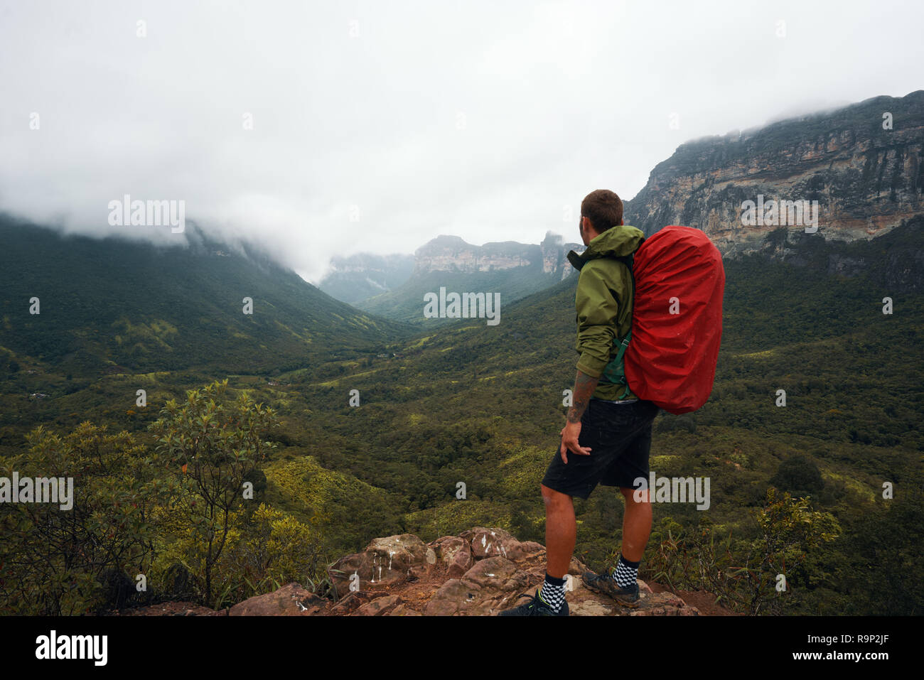 Escursionista in piedi su un punto di osservazione in un parco nazionale Foto Stock