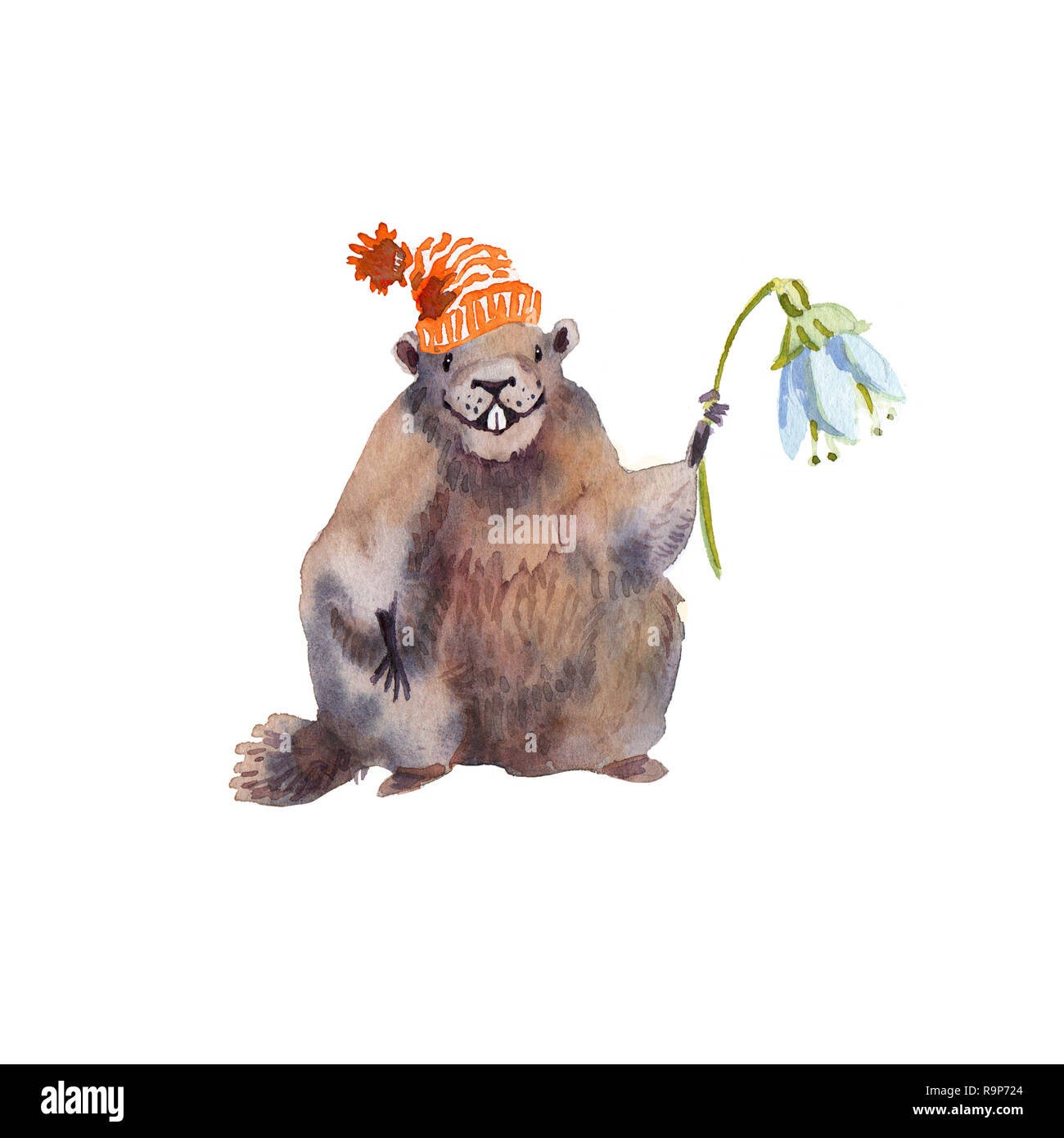 Felice Festa della Mamma - disegnato a mano illustrazione ad acquerello marmotta card Foto Stock