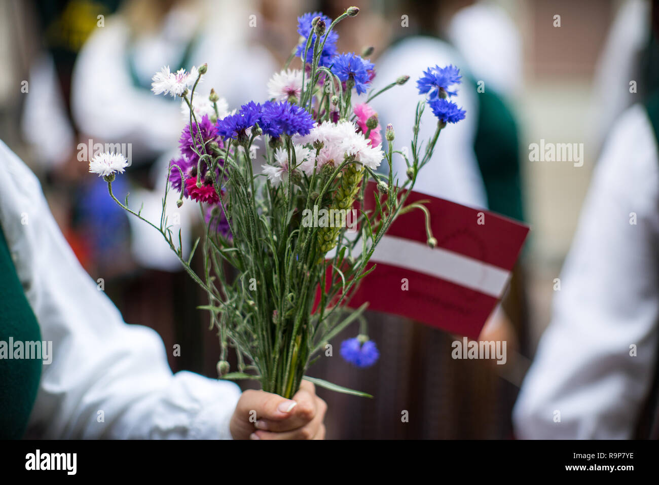 Elementi di ornamenti e fiori. Il canto e la danza festival in Lettonia. Processione in Riga. La lettonia 100 anni. Foto Stock