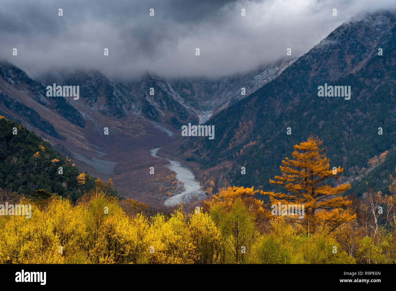 In Kamikochi Autunno, Alpi Giapponesi, Chubu Sangaku National Park Foto Stock