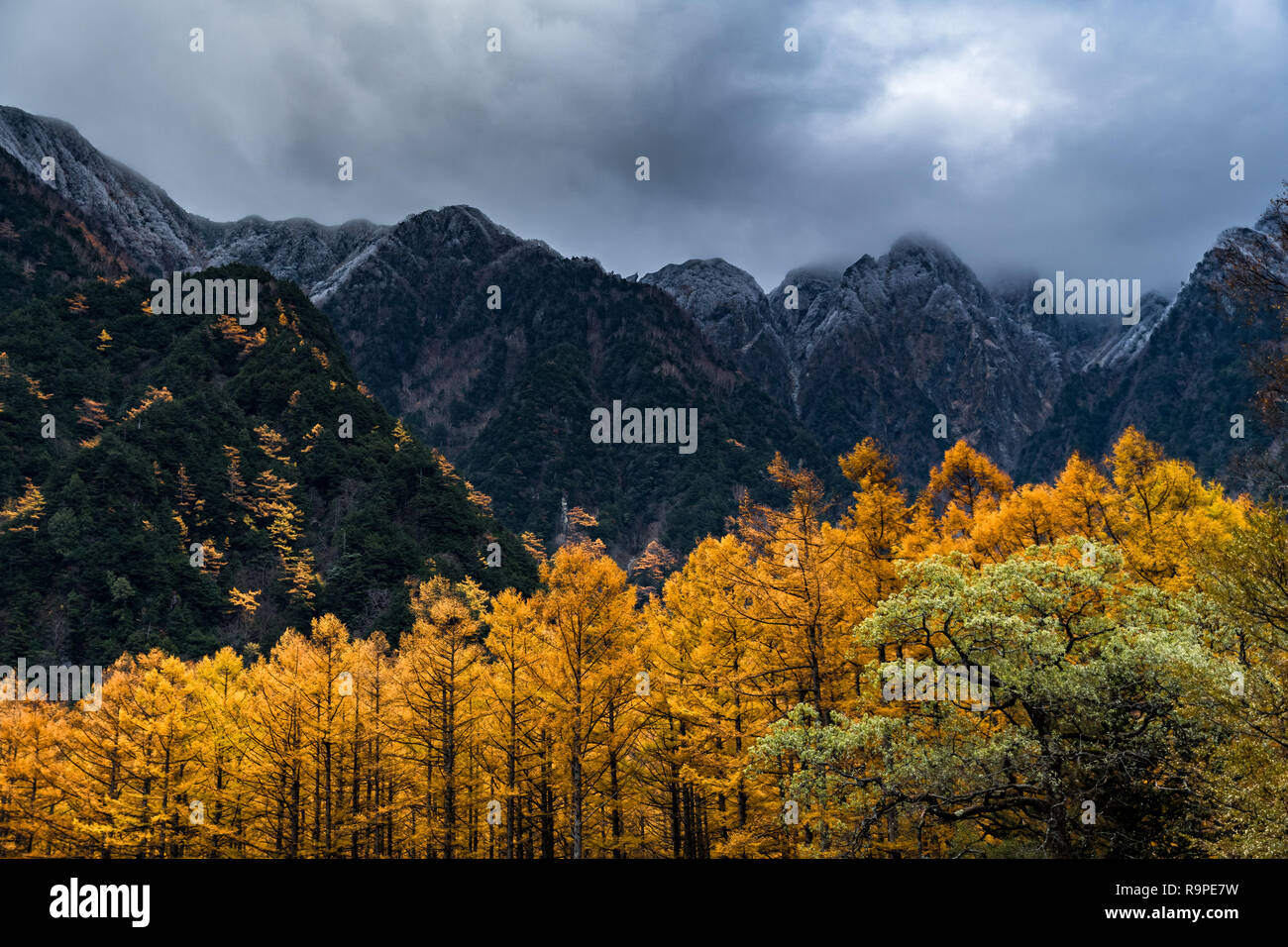 In Kamikochi Autunno, Alpi Giapponesi, Chubu Sangaku National Park Foto Stock