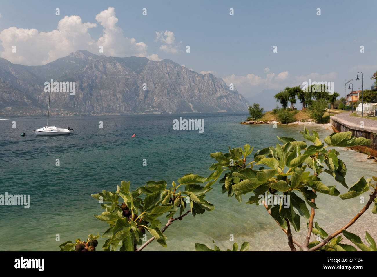 Lago di Garda, Italia Foto Stock