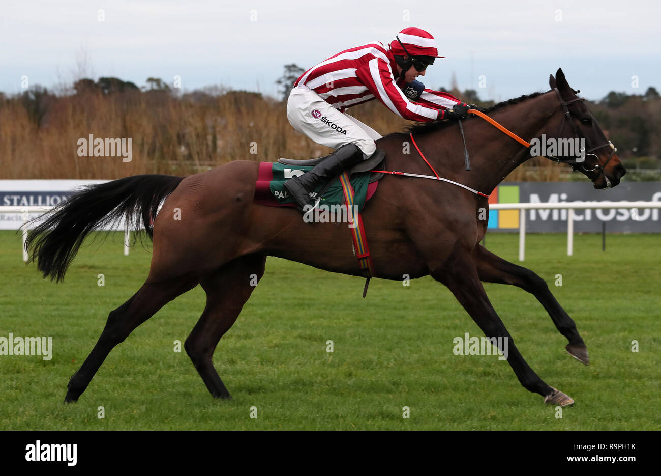 Paloma Blue cavalcato da Mark gare Walsh chiaro dell'ultimo sul modo di vincere il Paddy Power "live streaming tutte le corse irlandese sulla nostra App' principianti siepi durante il giorno due di Leopardstown Festival di Natale a Leopardstown Racecourse. Foto Stock