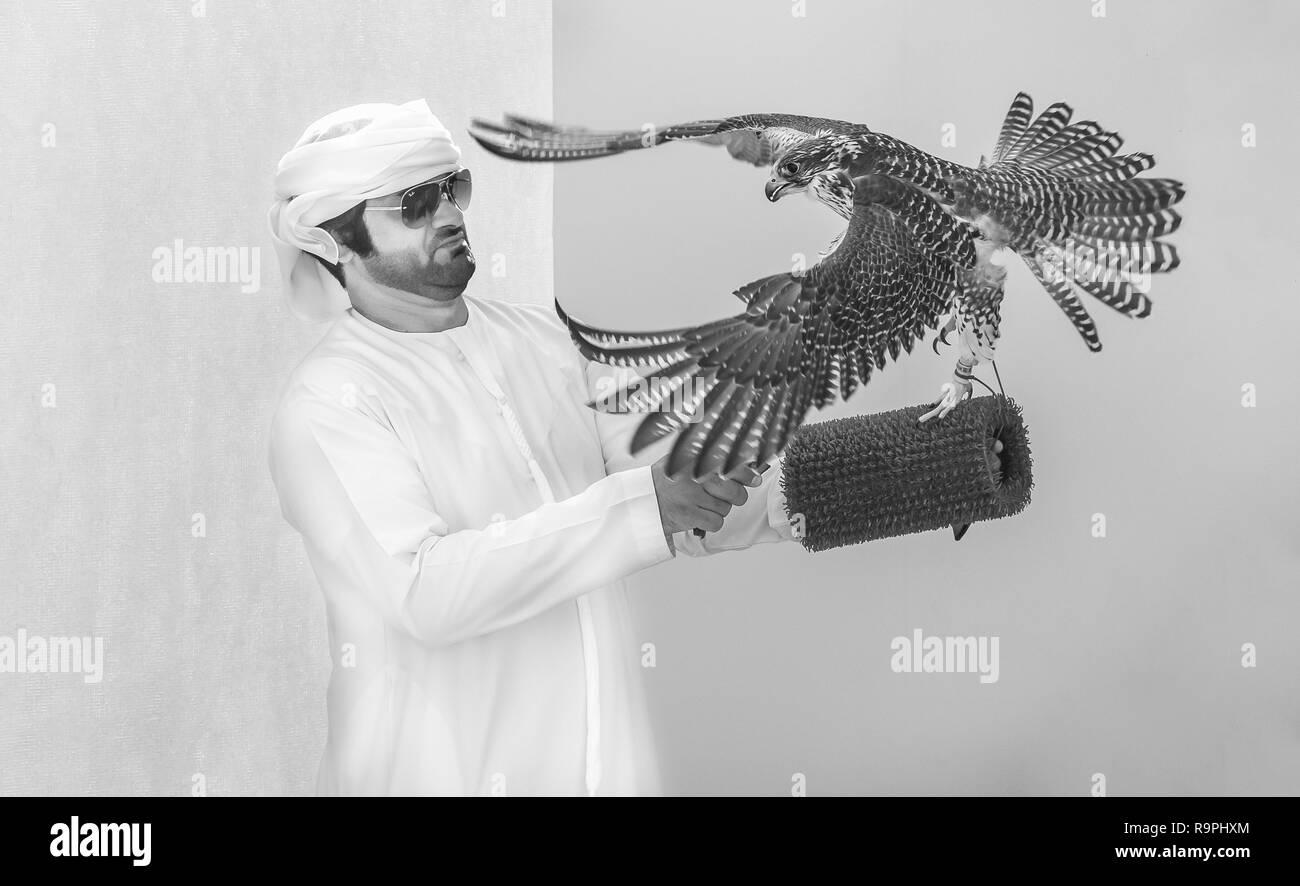 Madinat Zayed, Emirati Arabi Uniti, 22 Dicembre 2018: emirati formazione uomo sua Falcon Foto Stock