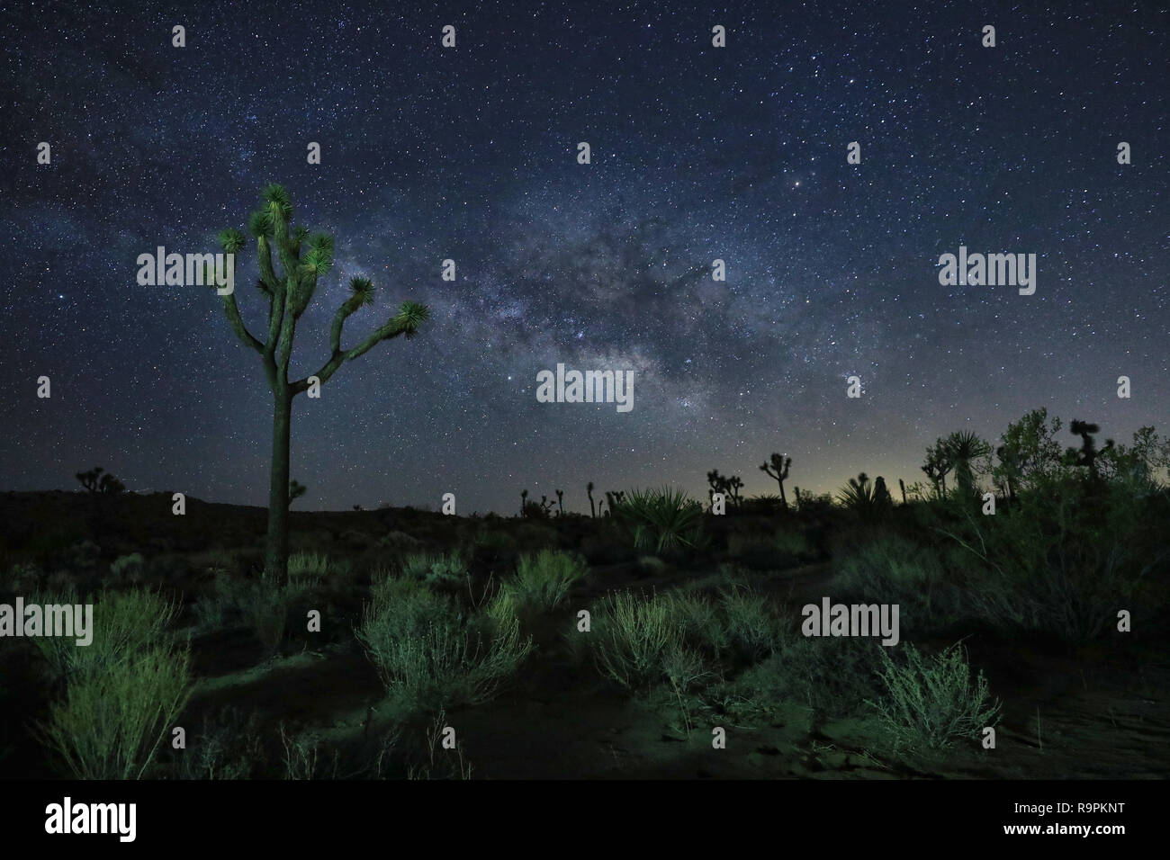 Via Lattea Core nel deserto di Joshua Tree National Park Foto Stock