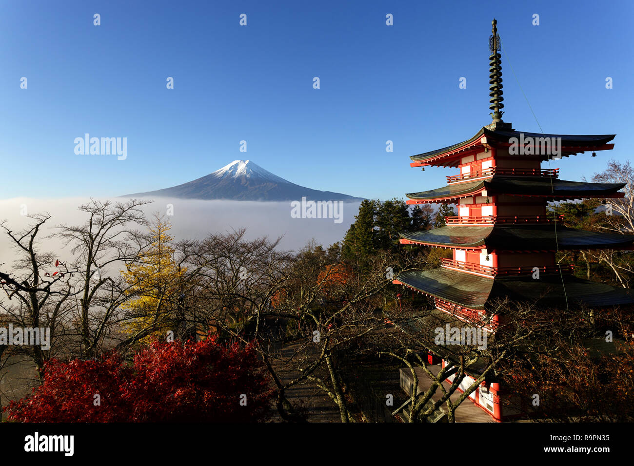 Mt. Fuji, Giappone visto dal Chureito Pagoda in autunno in una fredda mattina. Foto Stock