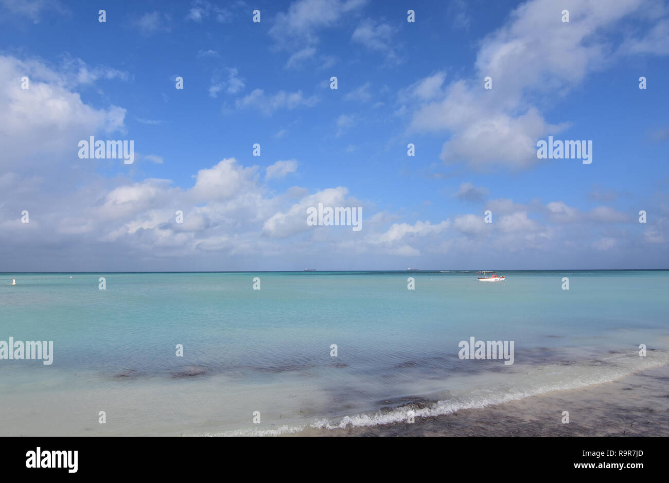 Piuttosto acque blu sulla costa di Aruba Foto Stock